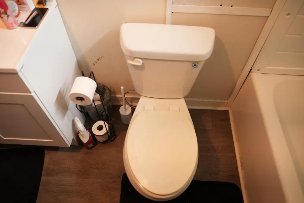 Picture 25