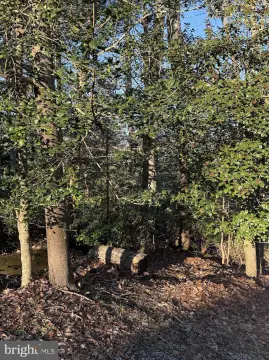 Wooded Lot in Amenity-Rich Community