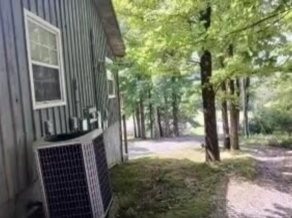 Picture 7