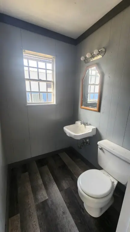 Picture 6