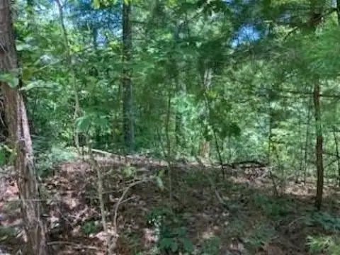 Ranger, GA Vacant Lot