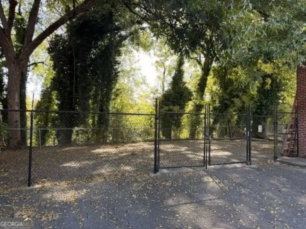 Picture 6