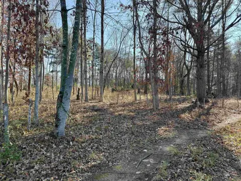 Elkton, VA Wooded Building Lot