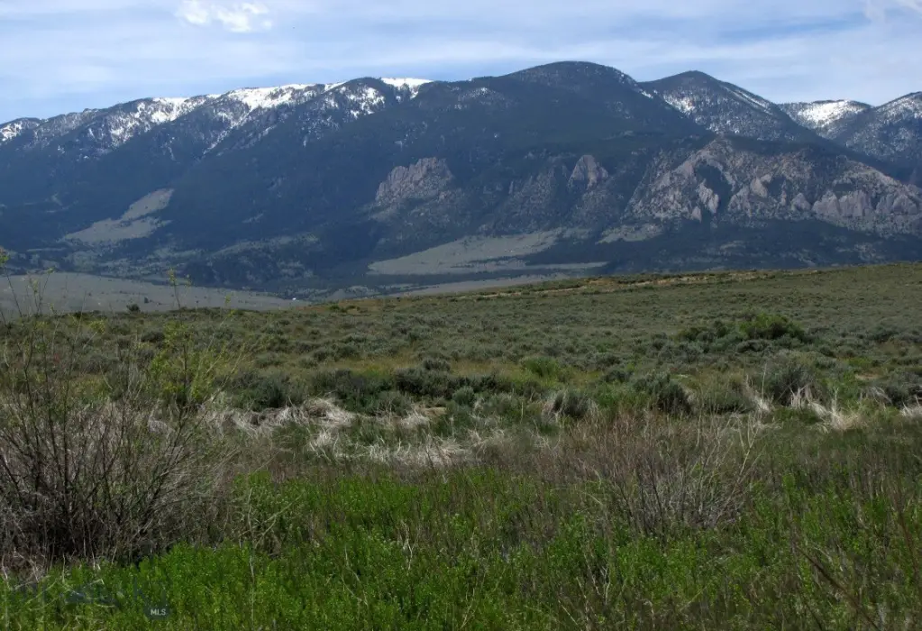 Picture 25