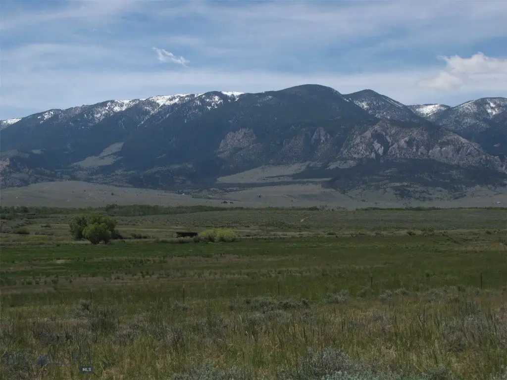 Picture 37