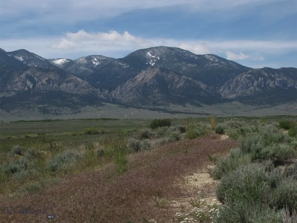 Picture 9