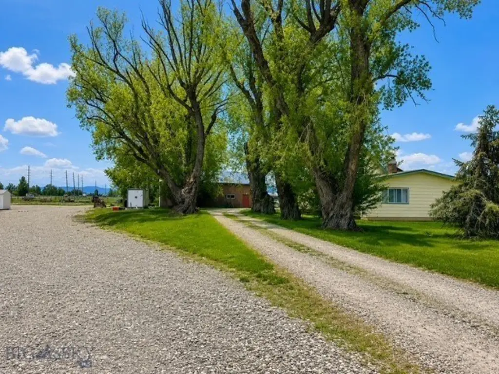 Picture 6