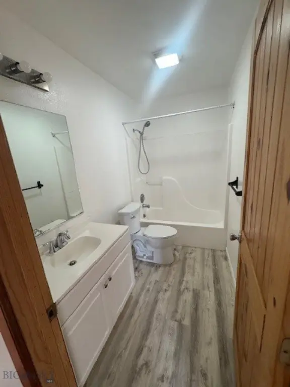 Picture 19
