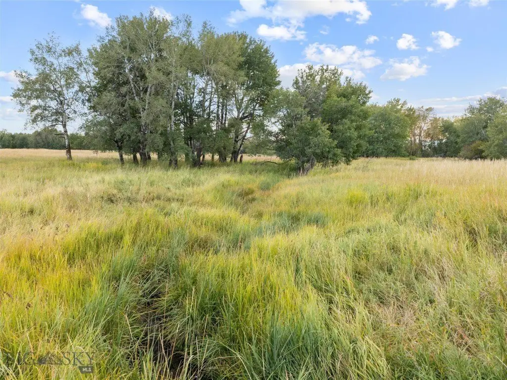 Picture 9