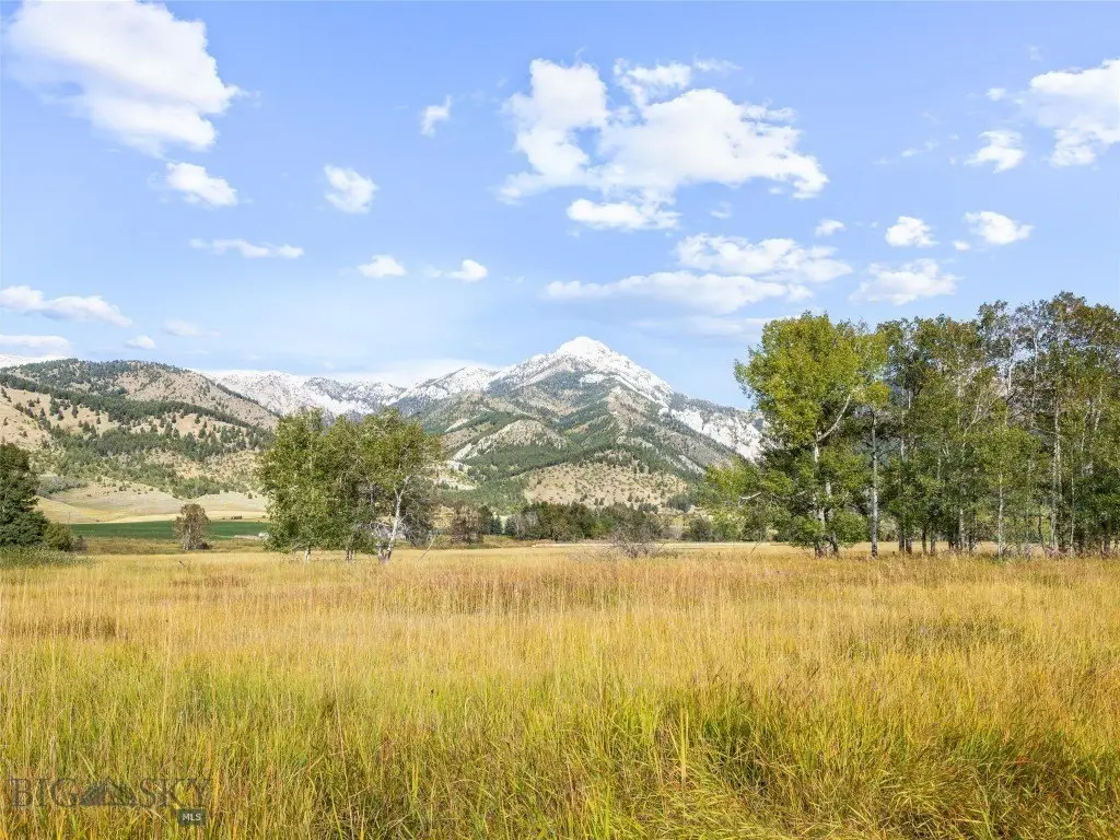Picture 35