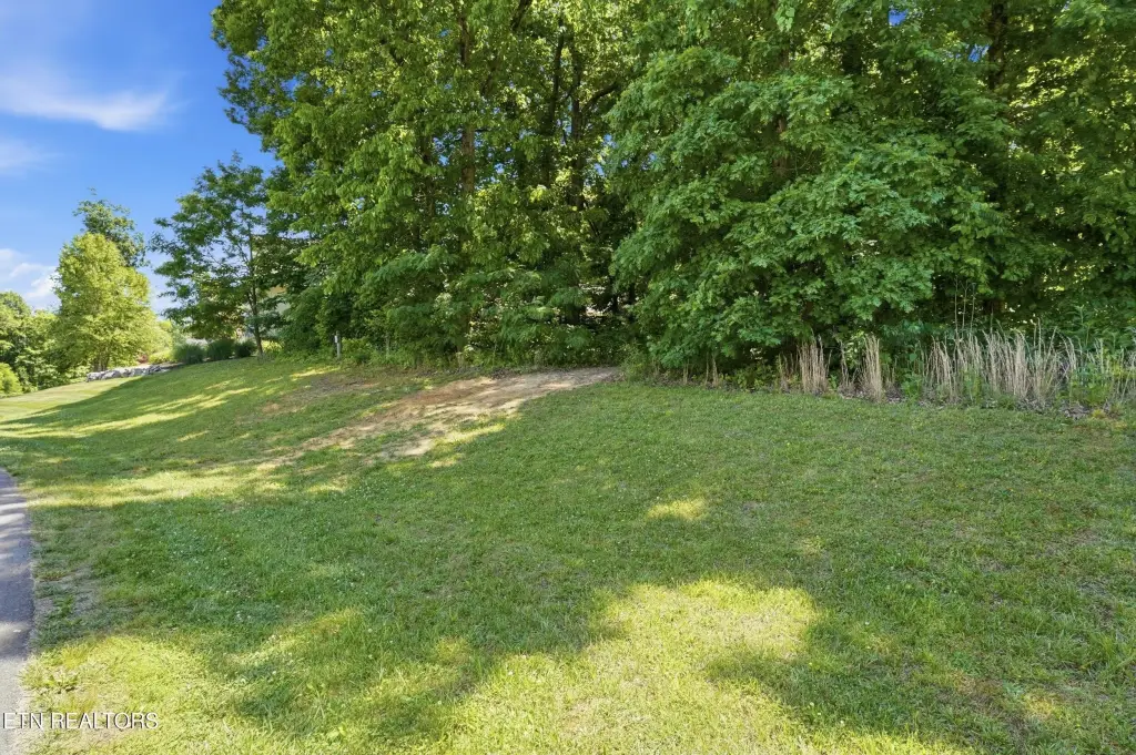 Picture 15