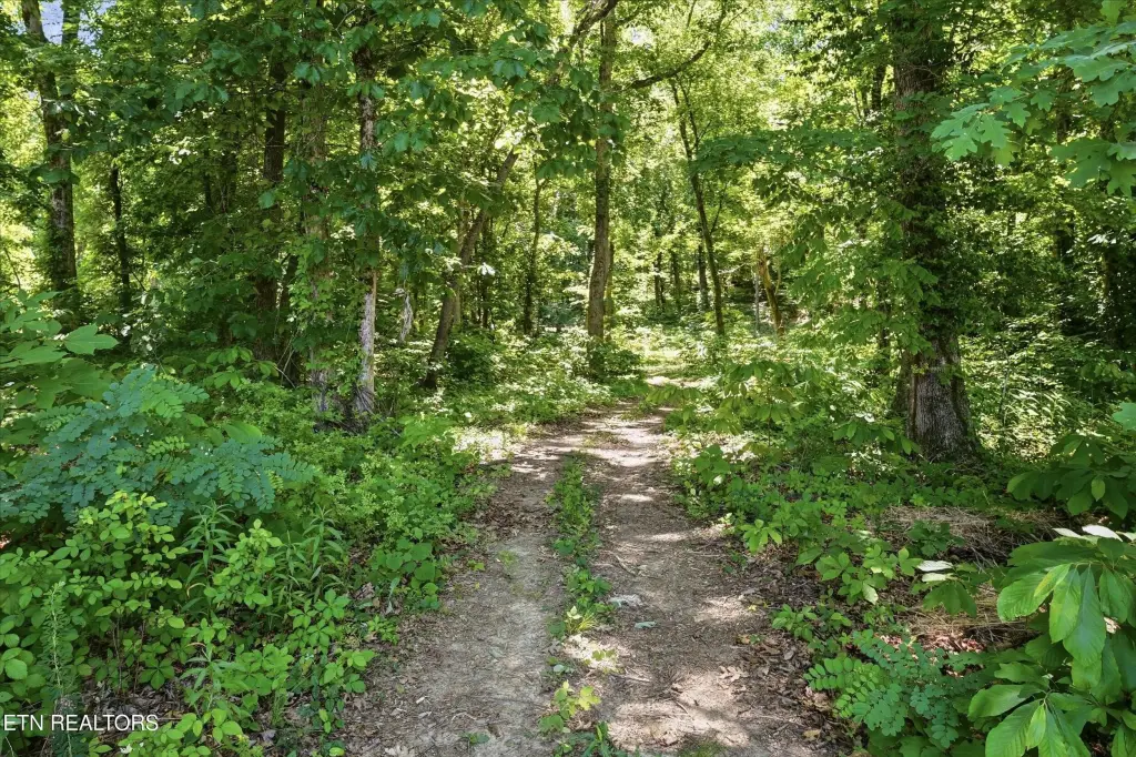 Picture 16