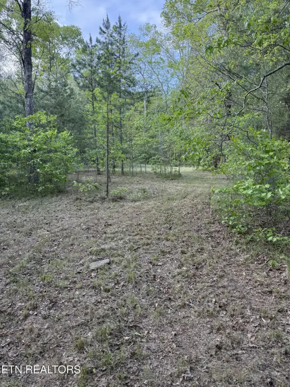 Picture 13