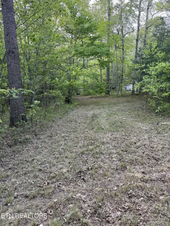 Picture 14