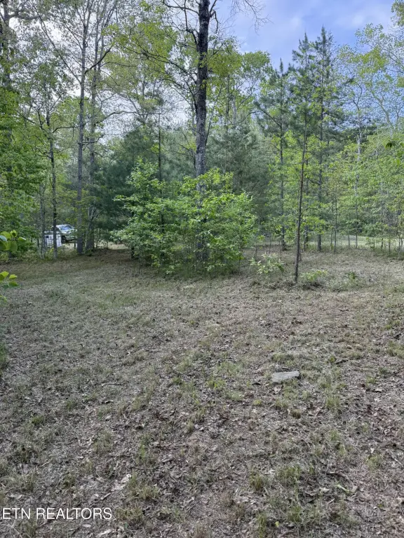 Picture 12