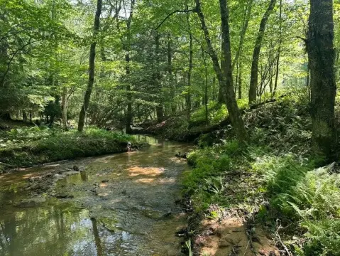 Surveyed Build-Ready Land