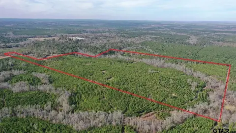 78 Acres of Hunting Land