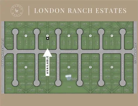 Expansive Homesite in Gated Community