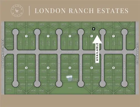 Spacious Homesite in Gated Community