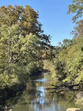 Wooded Hunting Land