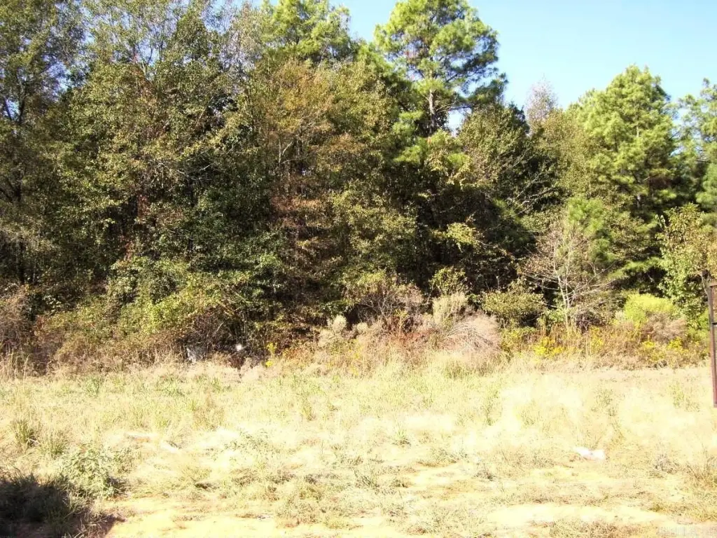 Picture 4