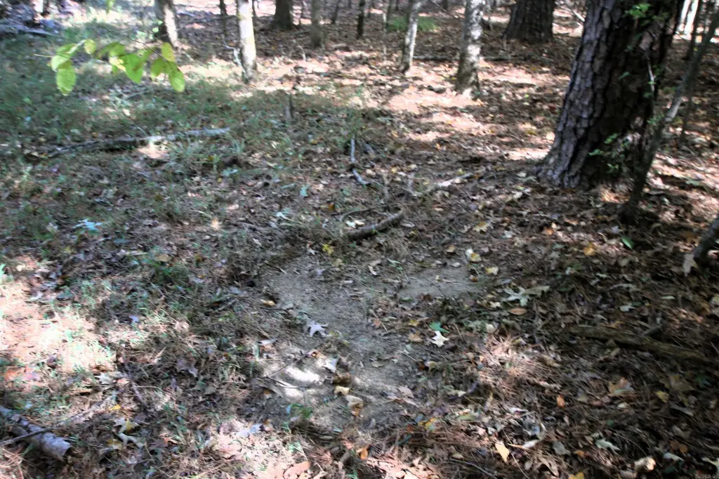 Picture 25
