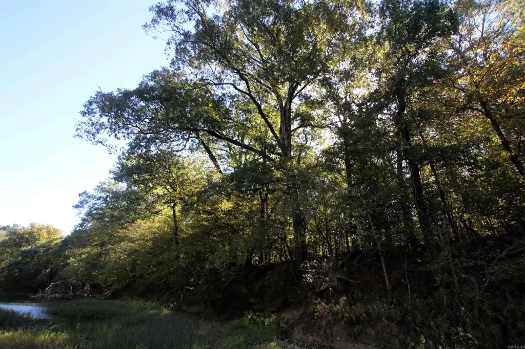 Picture 18