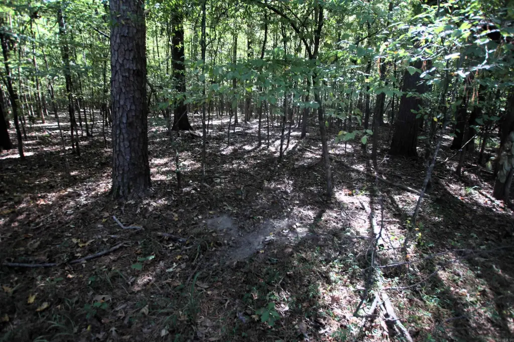 Picture 27