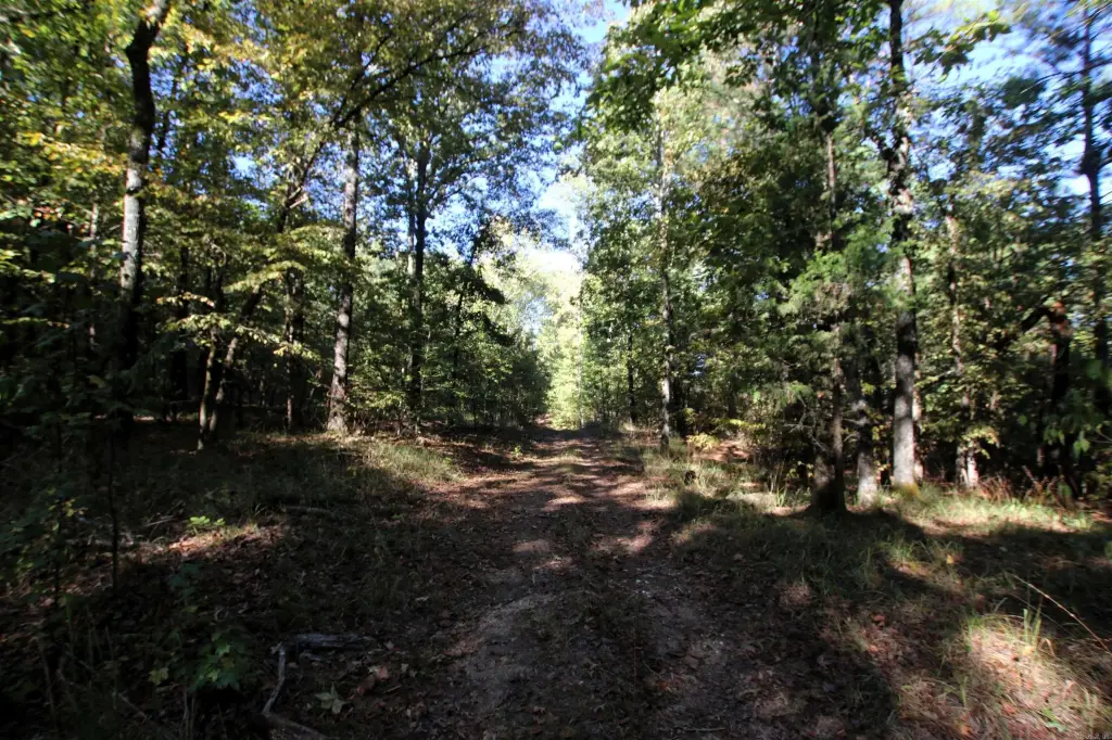 Picture 30