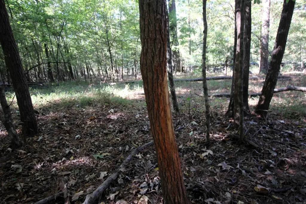 Picture 24