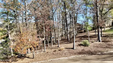 Residential Lot in Established Subdivision