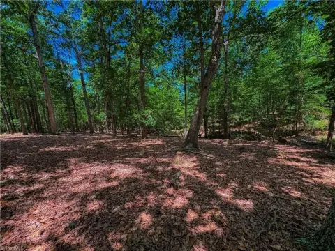 Residential Land in Denton, NC