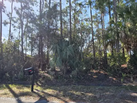 Residential Land in Palm Bay