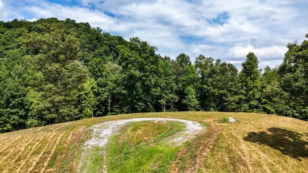 Picture 36
