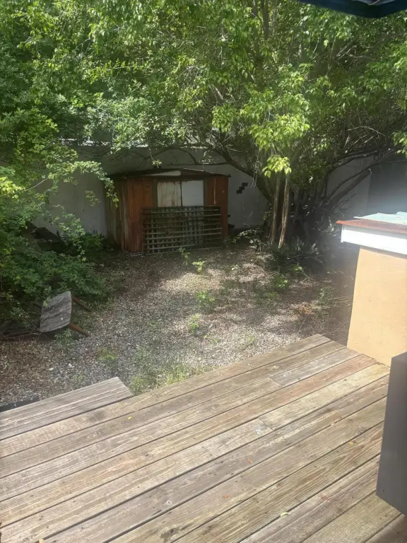 Picture 14