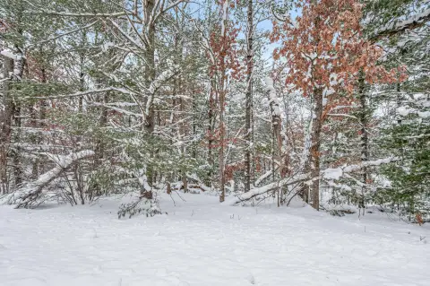 Wooded Lots in Quiet Location