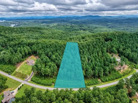 Blairsville Vacant Lot with Amenities