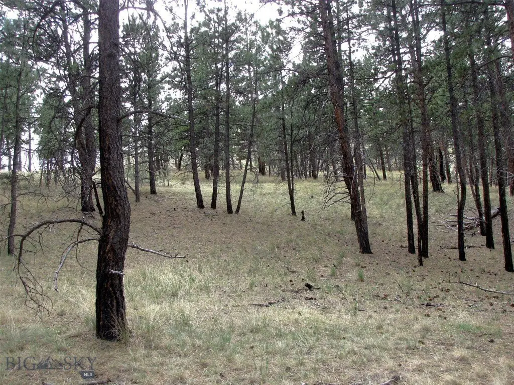 Picture 38