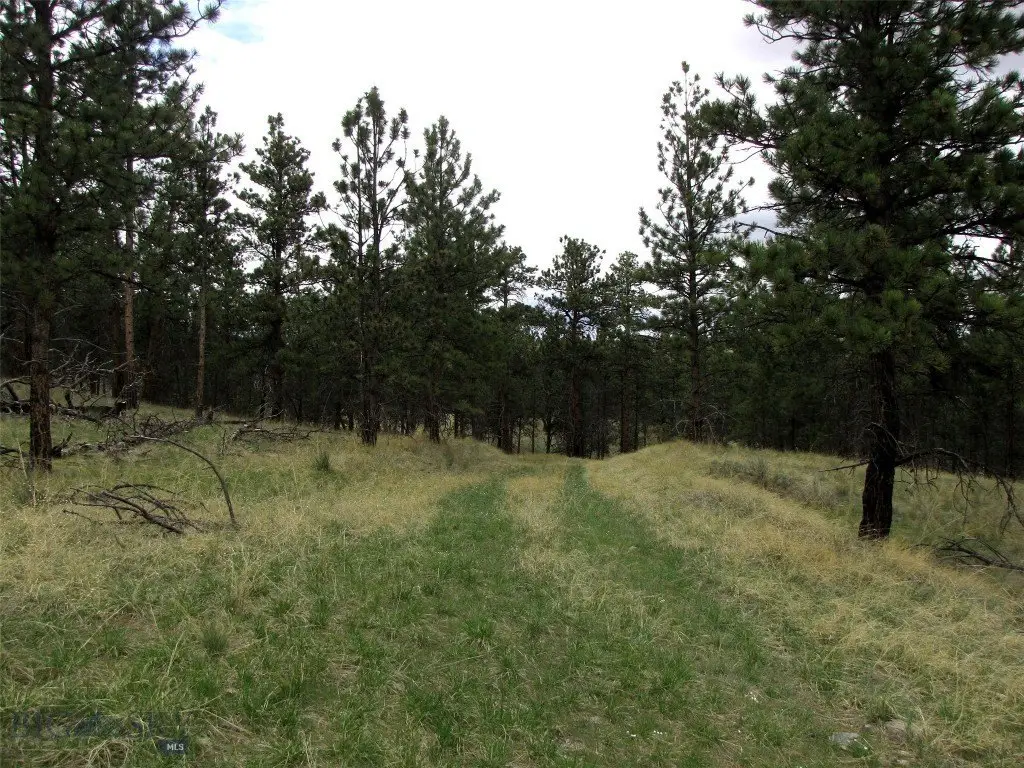 Picture 22