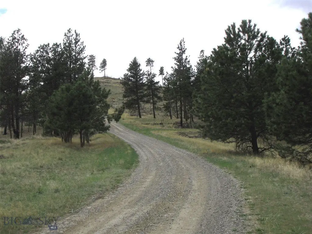 Picture 51