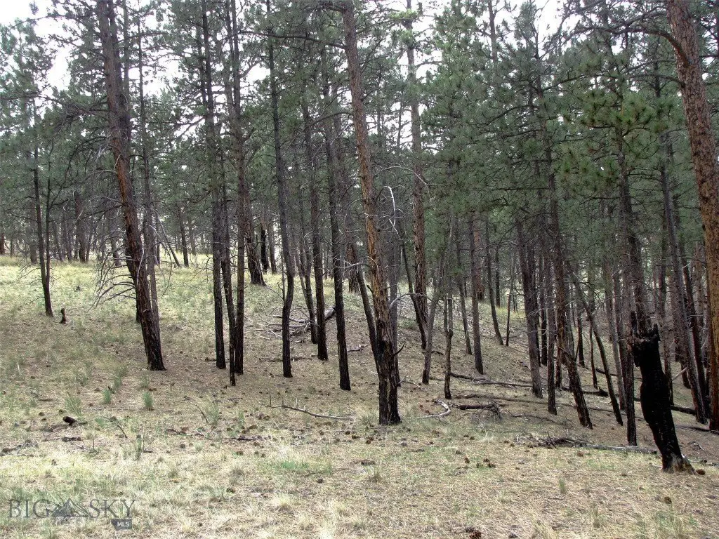 Picture 37