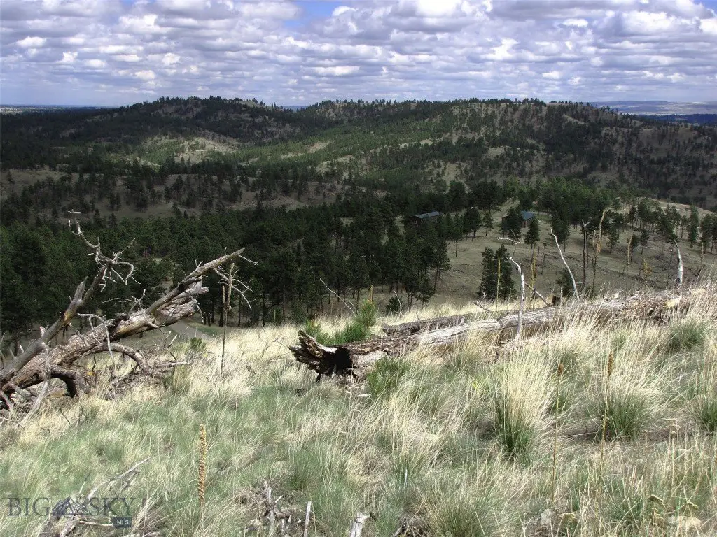 Picture 35