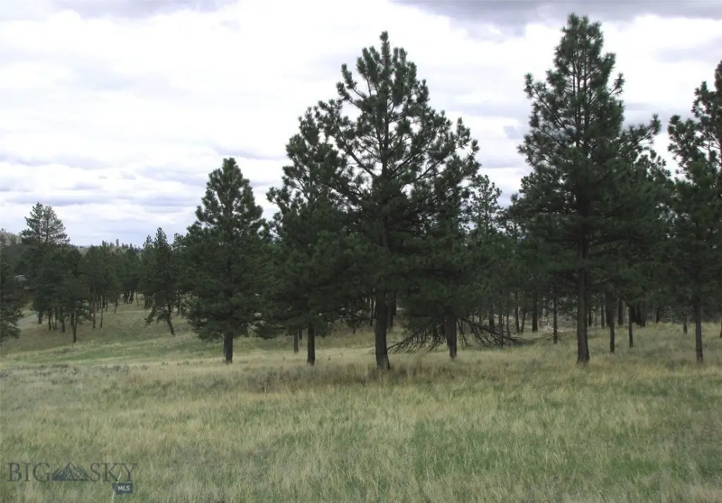 Picture 33