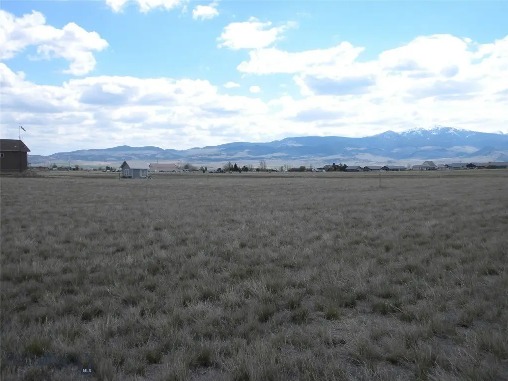 Picture 5