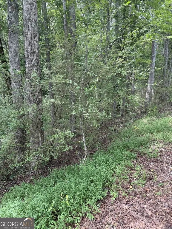 Picture 25