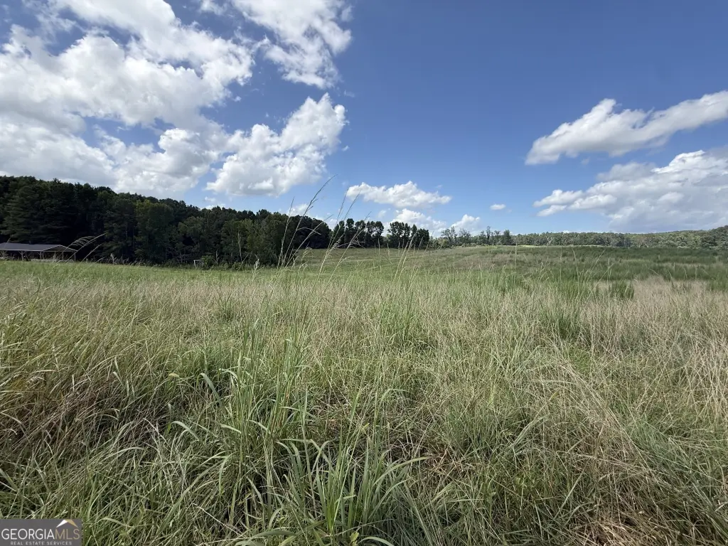Picture 22