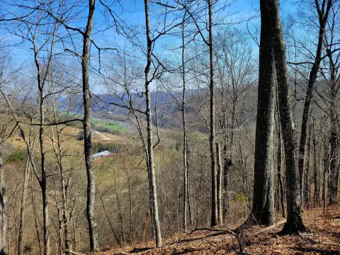 32.5 Acres in Sneedville, TN