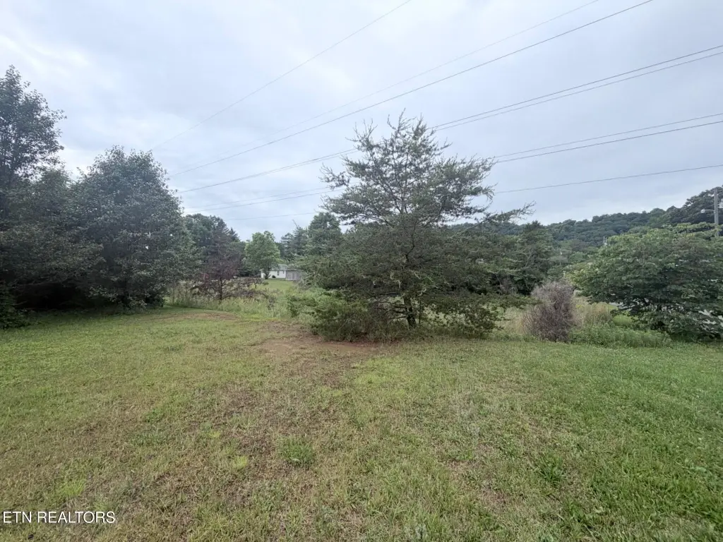 Picture 12