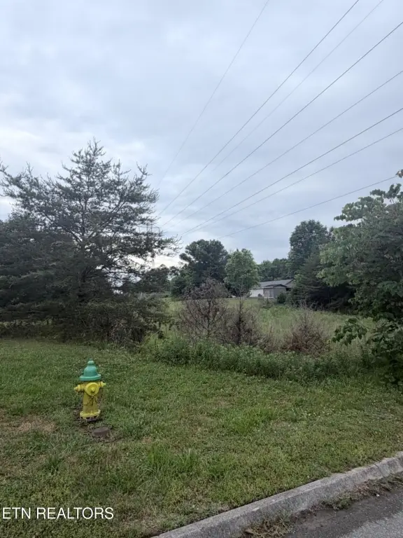 Picture 5