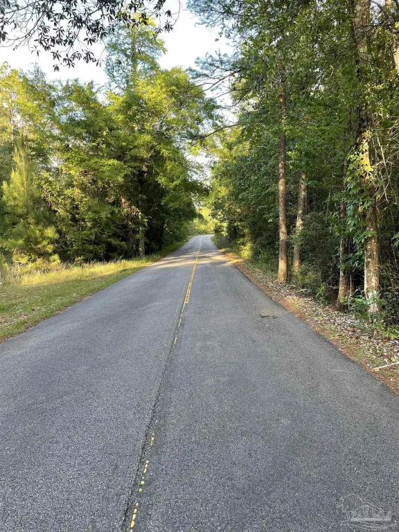 Picture 6